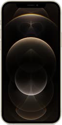 iphone-12-pro-max-color_gold-2