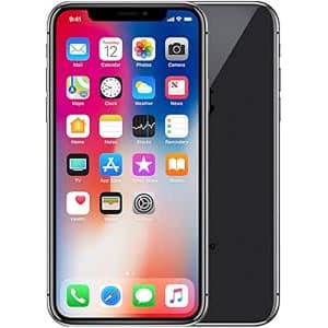 iPhone X
