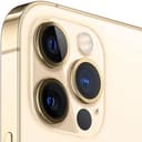 iphone-12-pro-max-color_gold-4