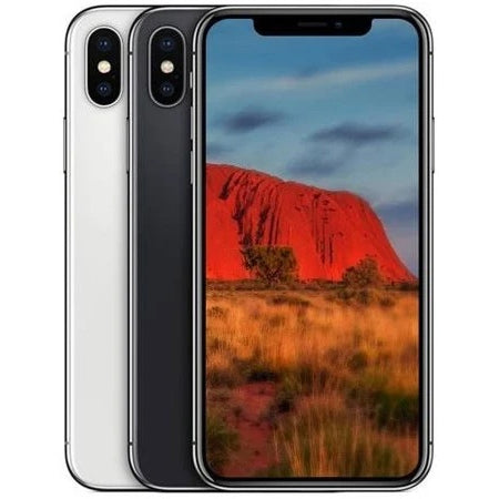 iPhone X